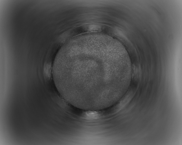 X0000089830189200707121647