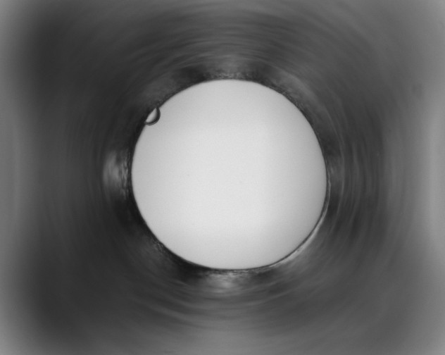 X0000089830190200707121647