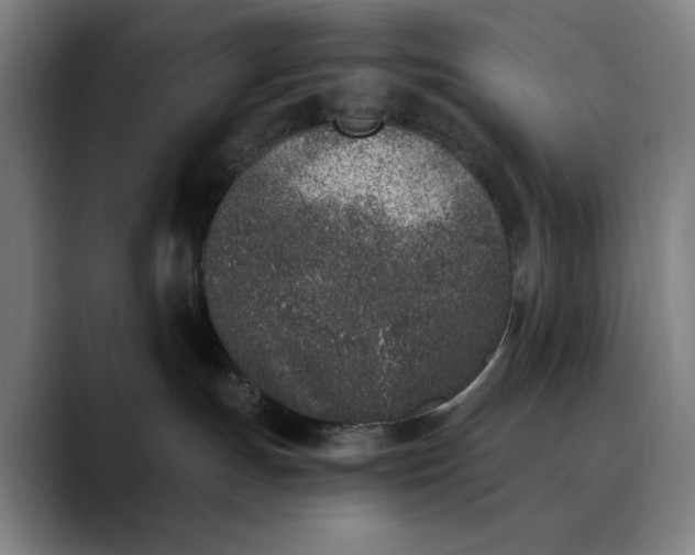 X0000089830191200707121647