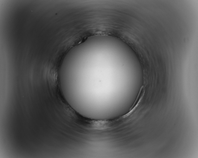 X0000089830192200707121647