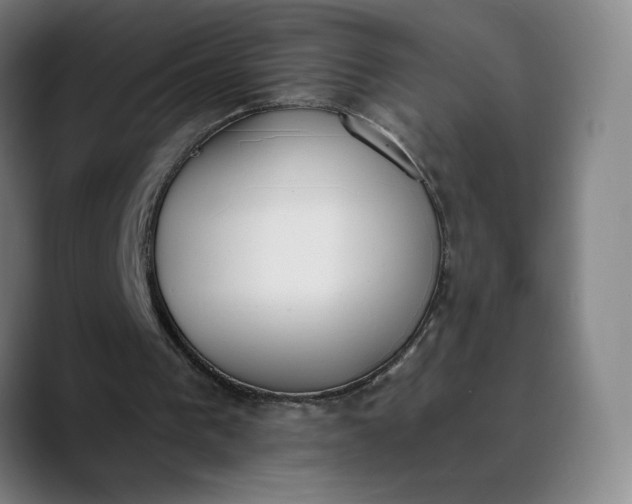 X0000089830193200707121647