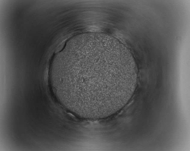 X0000089830194200707121647