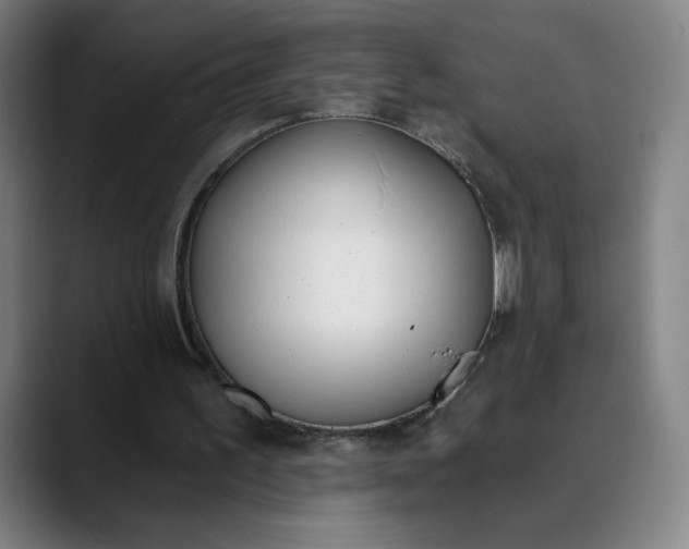 X0000089830195200707121647