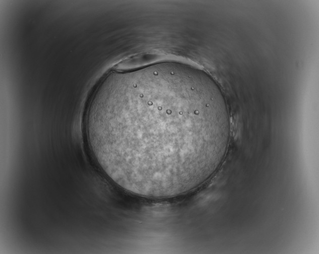 X0000089830196200707121647