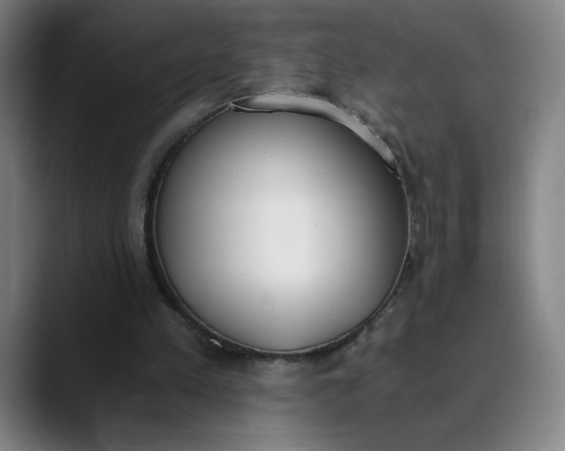 X0000089830197200707121647