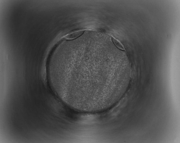 X0000089830198200707121647