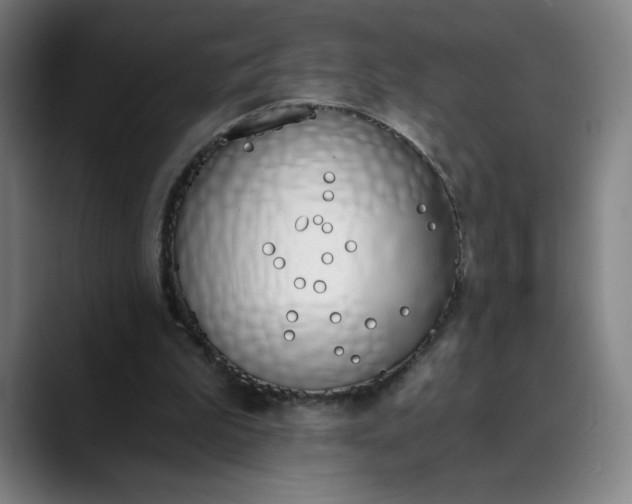 X0000089830199200707121647