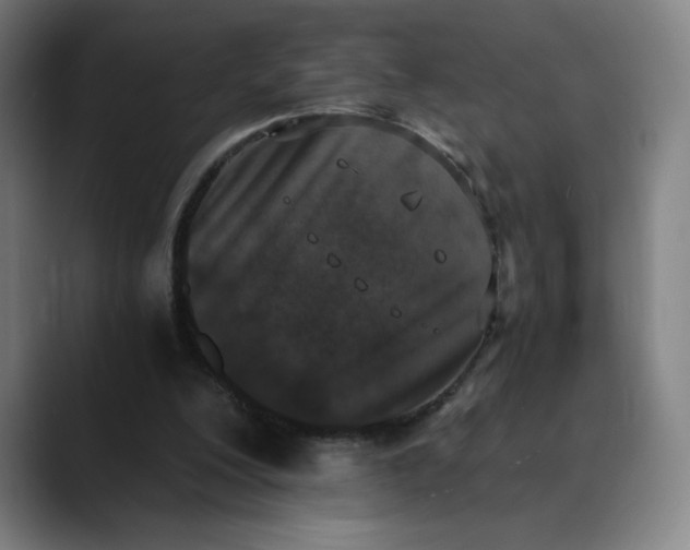 X0000089830200200707121647