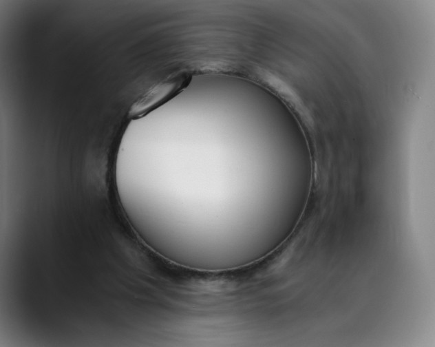 X0000089830201200707121647