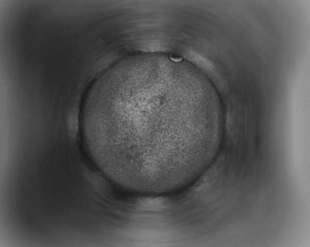 X0000089830202200707121647