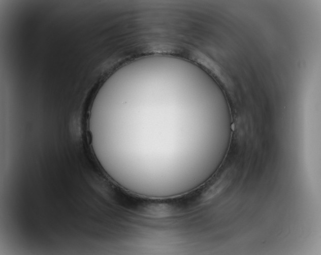 X0000089830203200707121647