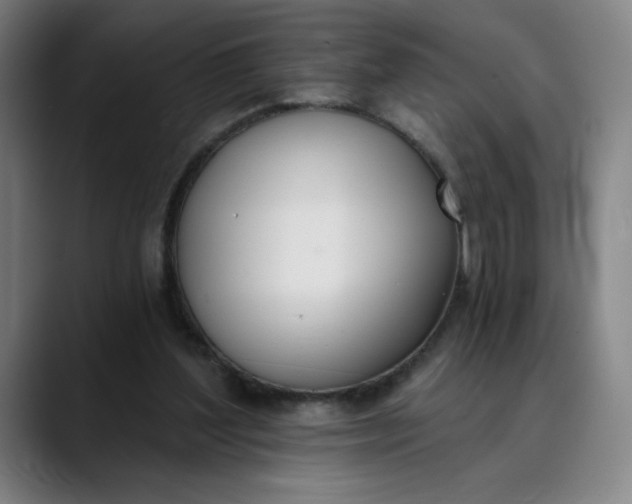 X0000089830204200707121647