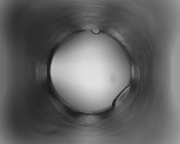 X0000089830205200707121647