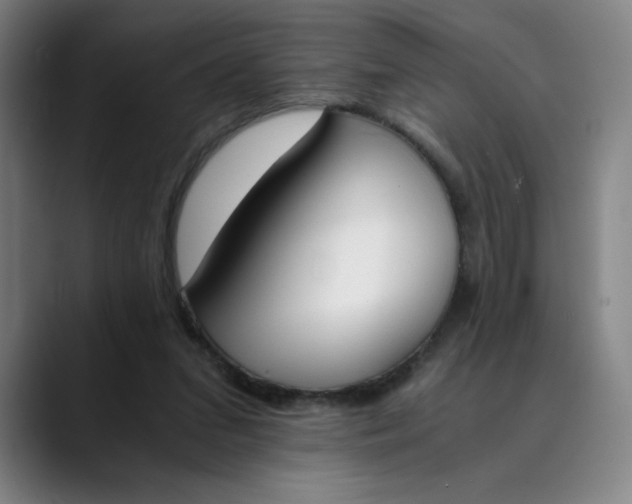 X0000089830207200707121647