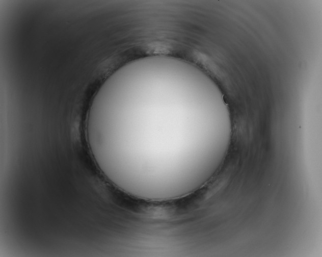 X0000089830209200707121647