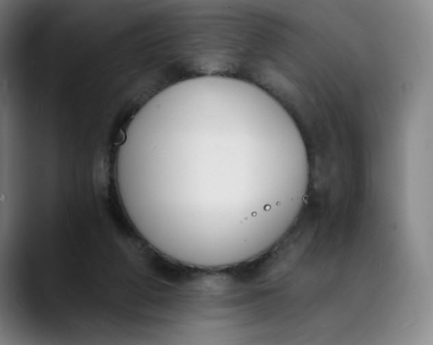 X0000089830210200707121647