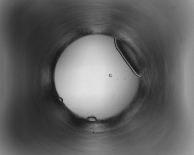 X0000089830212200707121647