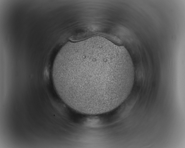 X0000089830214200707121647