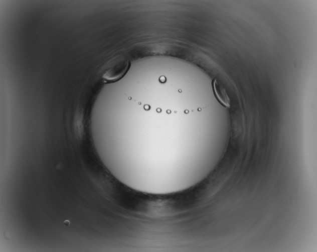 X0000089830216200707121647