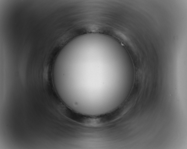 X0000089830217200707121647