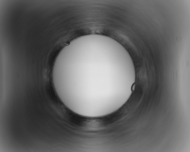 X0000089830218200707121647