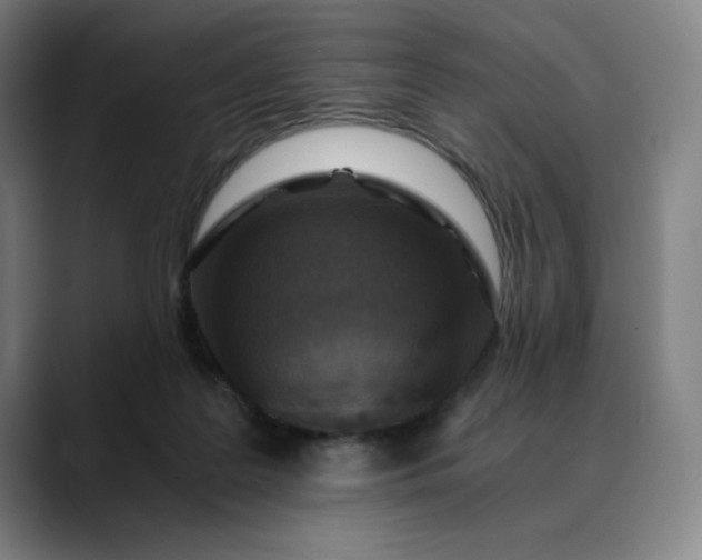 X0000089830219200707121647