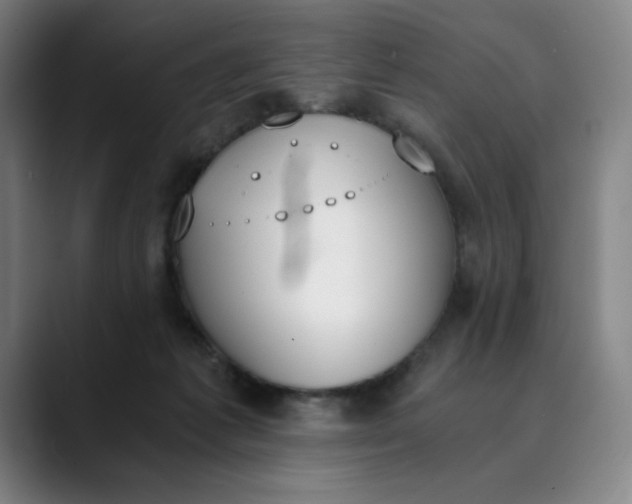 X0000089830221200707121647