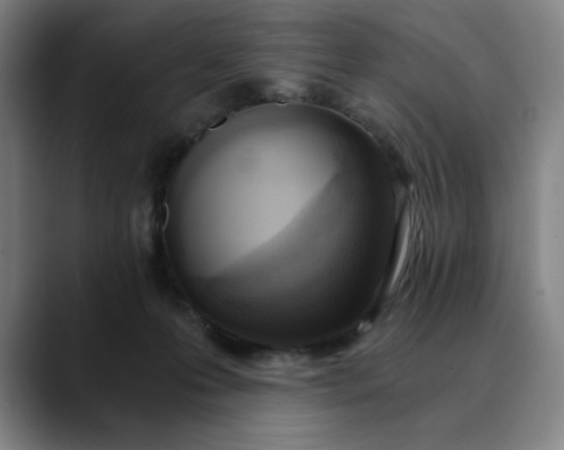 X0000089830223200707121647