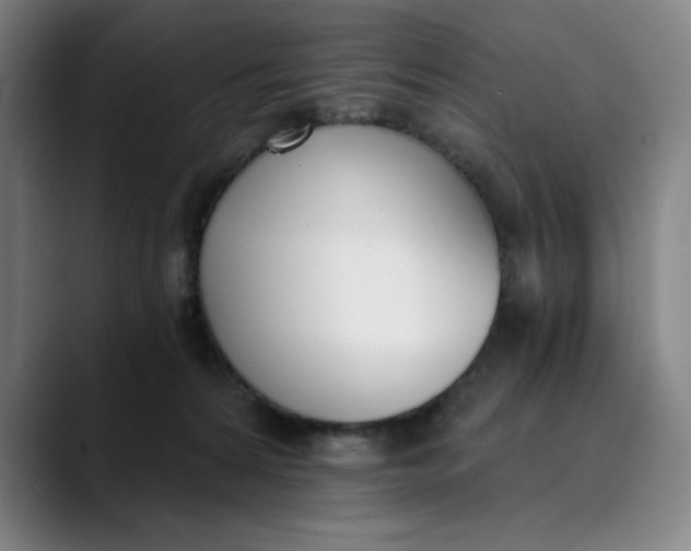 X0000089830224200707121647