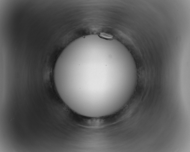 X0000089830225200707121647