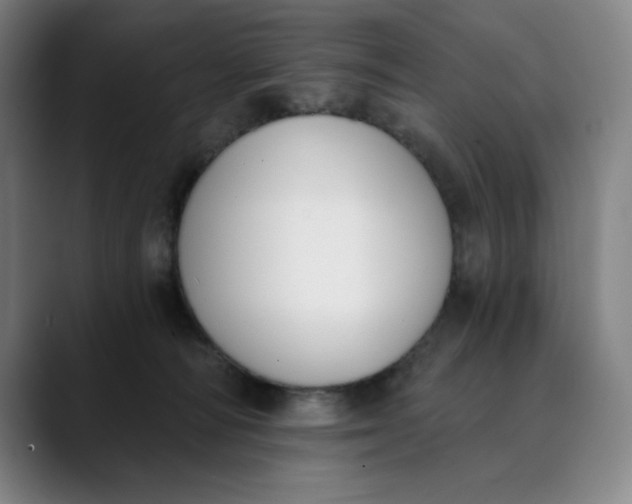 X0000089830226200707121646