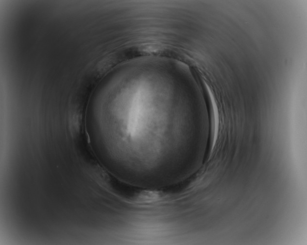 X0000089830227200707121646