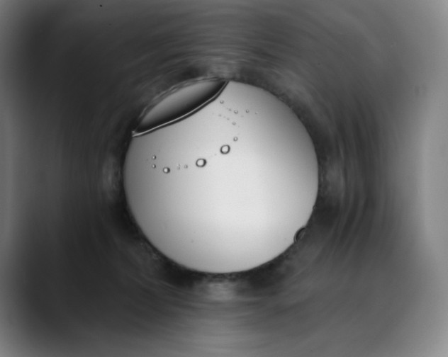 X0000089830228200707121646