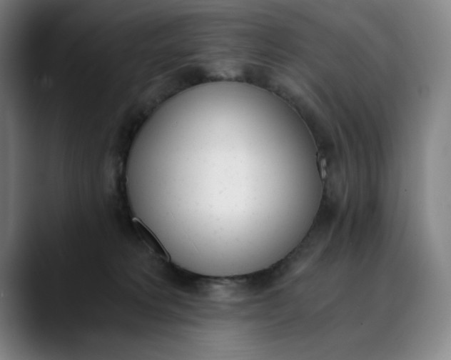 X0000089830229200707121646