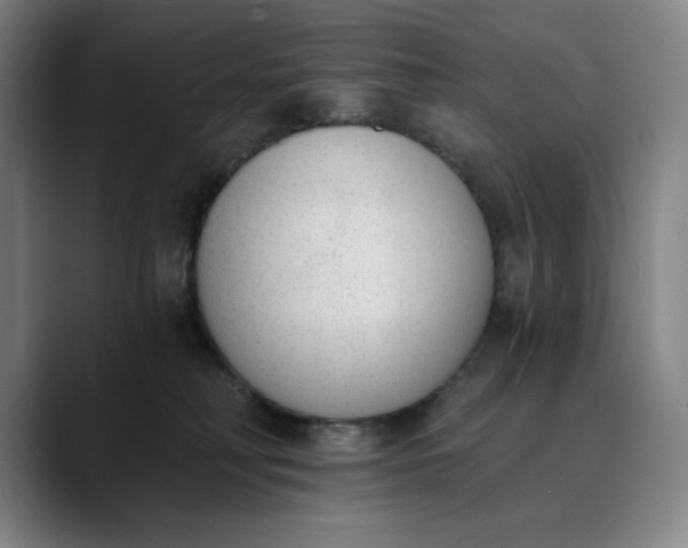 X0000089830230200707121646