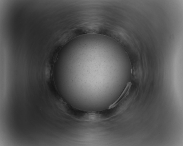 X0000089830231200707121646