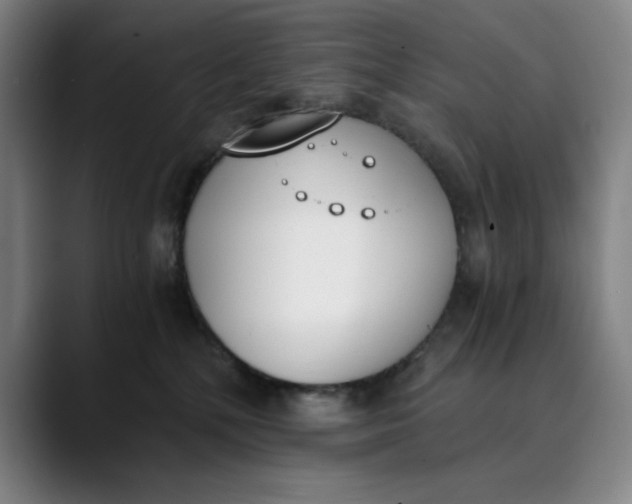 X0000089830232200707121646