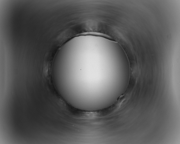 X0000089830233200707121646