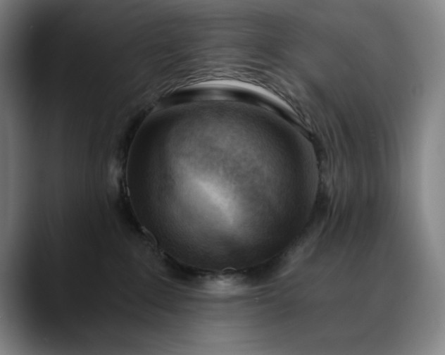 X0000089830235200707121646