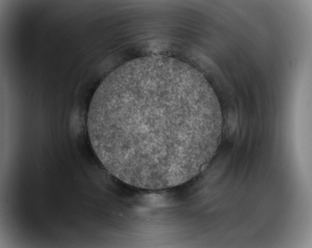 X0000089830236200707121646