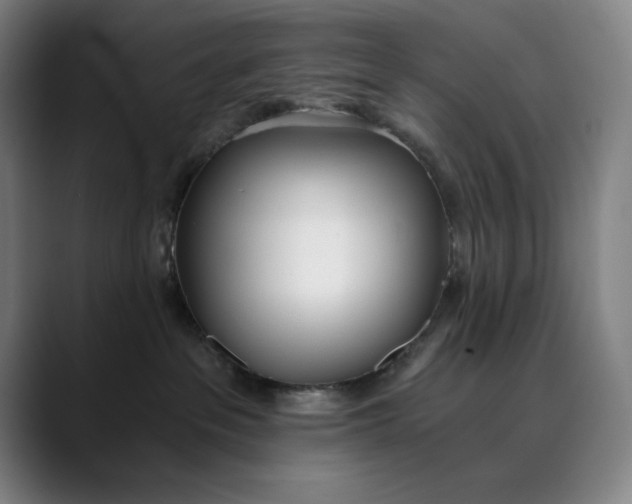 X0000089830237200707121646