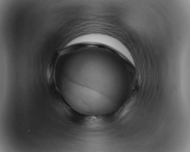 X0000089830239200707121646