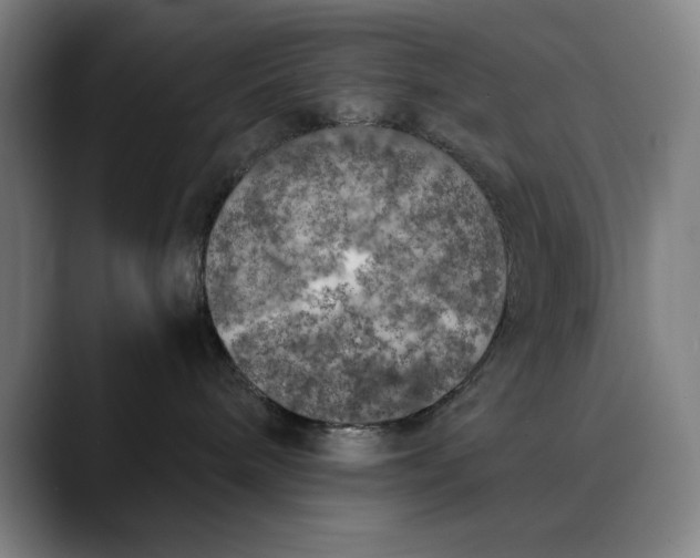 X0000089830240200707121646