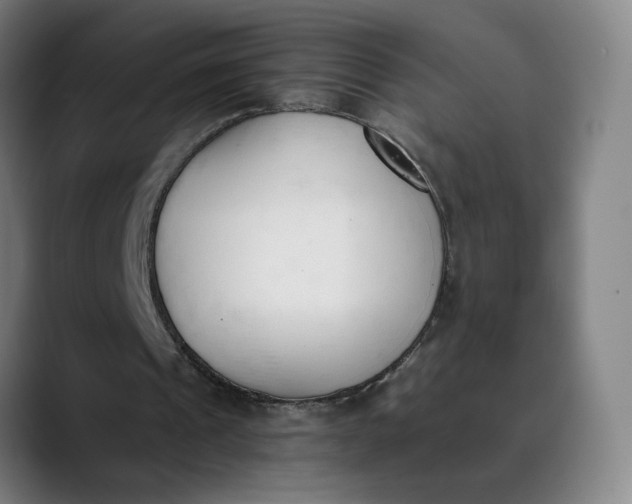 X0000089830241200707121646