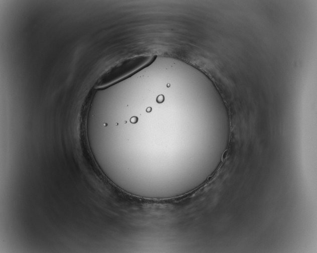 X0000089830242200707121646