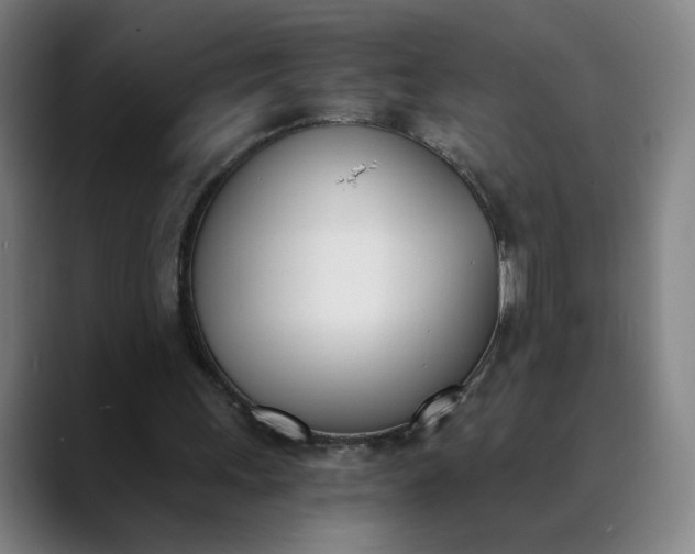 X0000089830243200707121646