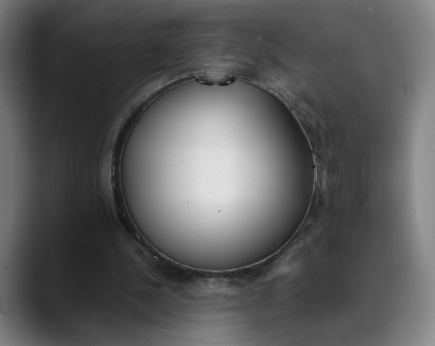 X0000089830244200707121646