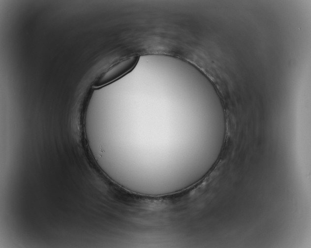 X0000089830245200707121646