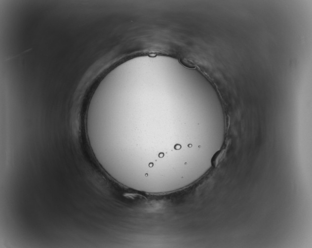 X0000089830247200707121646