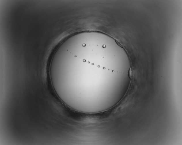 X0000089830248200707121646